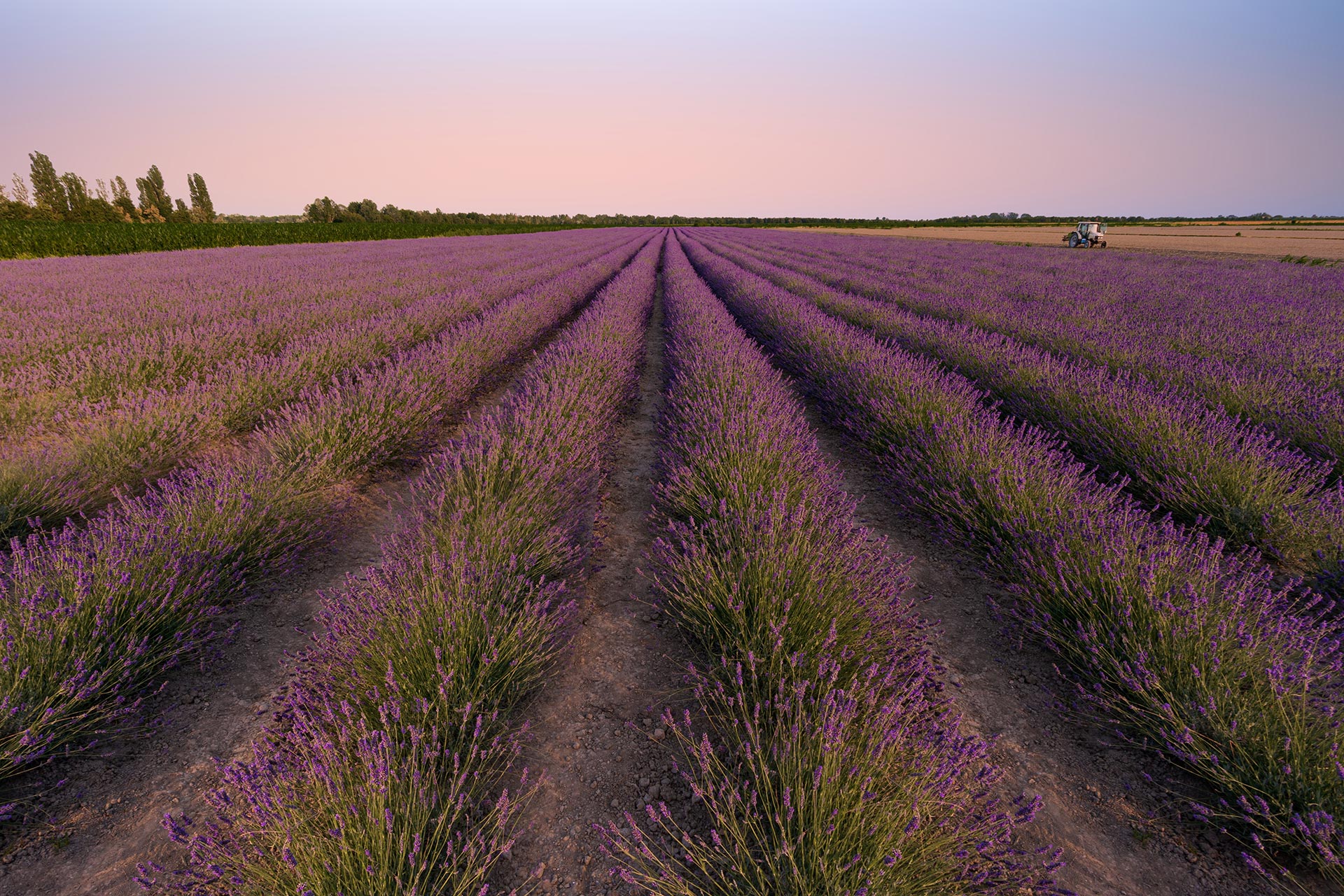 Foto Oasi di Ca' Mello